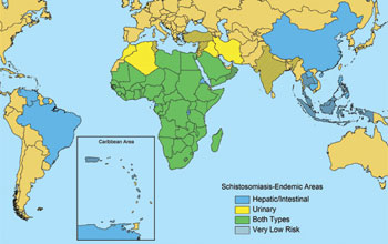 Map of the world showing countries at risk for the snail-borne disease schistosomiasis.