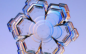 a snowflake with the the plate-like form.