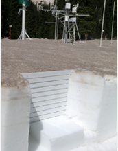 Photo showing dust layers in a study plot in Colorado's Senator Beck Basin Study Area.