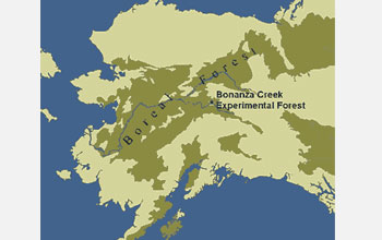 Map of Alaska showing the boreal forest and location of NSF's Bonanza Creek LTER site.