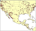 Map of North and Central America showing where wild birds were tested for avian influenza virus.