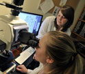Photo of a student looking into a microscope and another student seated.