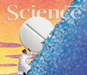 Cover of this week's issue of Science magazine.