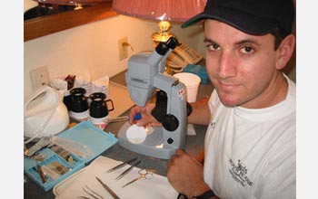 Photo of Mike Shapiro cross-breeding stickleback fish in a field laboratory in Canada.