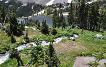 Photo of a creek above Lake Isabella in the Indian Peaks Wilderness in Colorado.