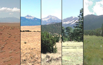 Photos of the studied ecosystems with increasing elevation from left to right.
