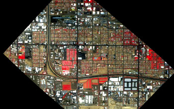 Map of vegetation (red), soil (brown, tan), built materials (white) in a south Phoenix neighborhood.