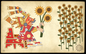 Aztec figure drawn on parchment holding sunflowers; sunflower field in the background.