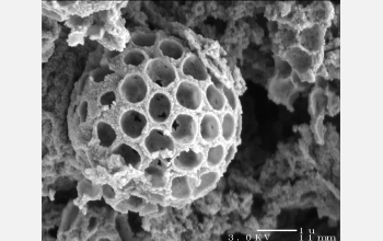 Titanium dioxide microsphere with closed-packed spherical inclusions