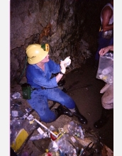 Dr. Susan Pfiffner organizes sample media from a South African gold mine