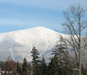 Photo of snow-covered Mount Washington, N.H.