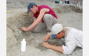 Photo of co-authors Nathan Smith and Sterling Nesbitt digging for fossils at the Ghost Ranch.