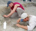 Photo of co-authors Nathan Smith and Sterling Nesbitt digging for fossils at the Ghost Ranch.