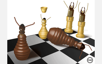 Metaphorical termite-like chess set shows succession to royalty by a pawn-termite of worker caste