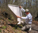 Photo of scientist Graham Hickling checking a drag-cloth for ticks.