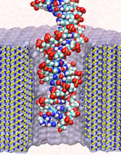 Nanopore Device for Sequencing DNA