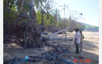 Quarrying sand may have increased losses of coastal houses in Thailand.