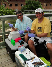 James Porter and Dusty Kemp with a field genetics lab in Dry Tortugas National Park.