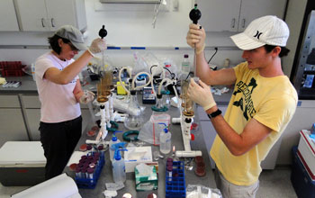 Researchers at Mote Marine Laboratory.