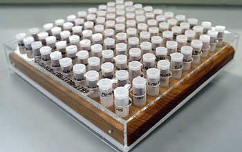 Vials filled with samples are ready for analysis.