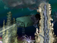 Illustration showing an undersea submersible illuminating a deep-sea hydrothermal vent community.