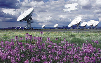 Series of telescopes aimed at sky, purple flowers in foreground.