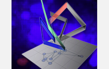 Researchers have shown for the first time, how a genome is organized in three-dimensional space