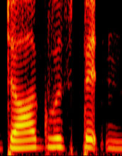 Sound spectrogram of a spoken English sentence