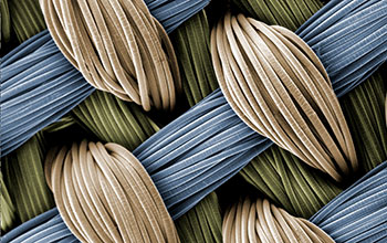 Tiny interwoven fibers of 3-D fabric scaffold used for growing cartilage