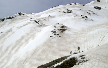 Stripes of dust visible on the snow in Colorado's Rocky Mountains.