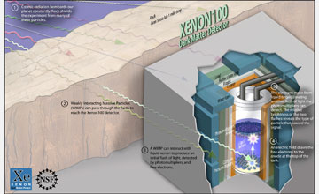 Illustration showing the XENON100 detector which detects Weakly Interacting Massive Particles.