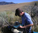 Photo of biologist Josh Miller studying bone survey data sheets along Yellowstone's Northern Range.