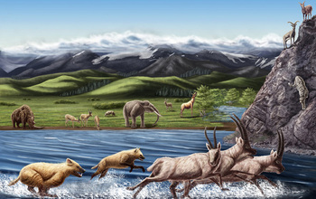 Artist's reconstruction of Zanda Fauna from the Pliocene about three to five million years ago.