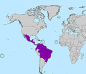 Map showing regions of the world where the Zika virus is currently active, as of Feb. 3, 2016.