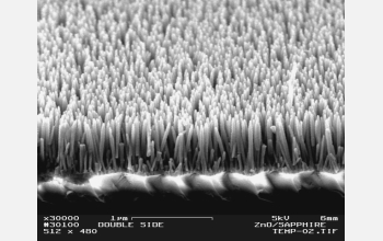 An SEM image showing ZnO nanotips grown on C-plane sapphire substrates