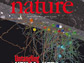 cover of Nature magazine