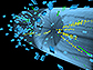 one of the first collisions in the CMS detector