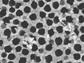 nanoporous alumina membrane
