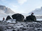 students on Baffin Island