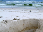 sampling microbial communities in beach sand