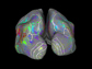 colors show brain sections active
