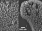 images of carbon nanofibers