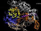 several hundred Cas9 enzymes
