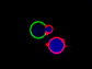 second-generation model-cell division