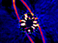 the circumstellar disk around HR 4796A