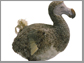a model of a dodo