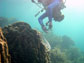 Dustin Kemp takes samples from a healthy coral