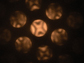 4D electron microscopy