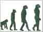 evolution graphic