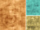 overlapping images of faces and houses